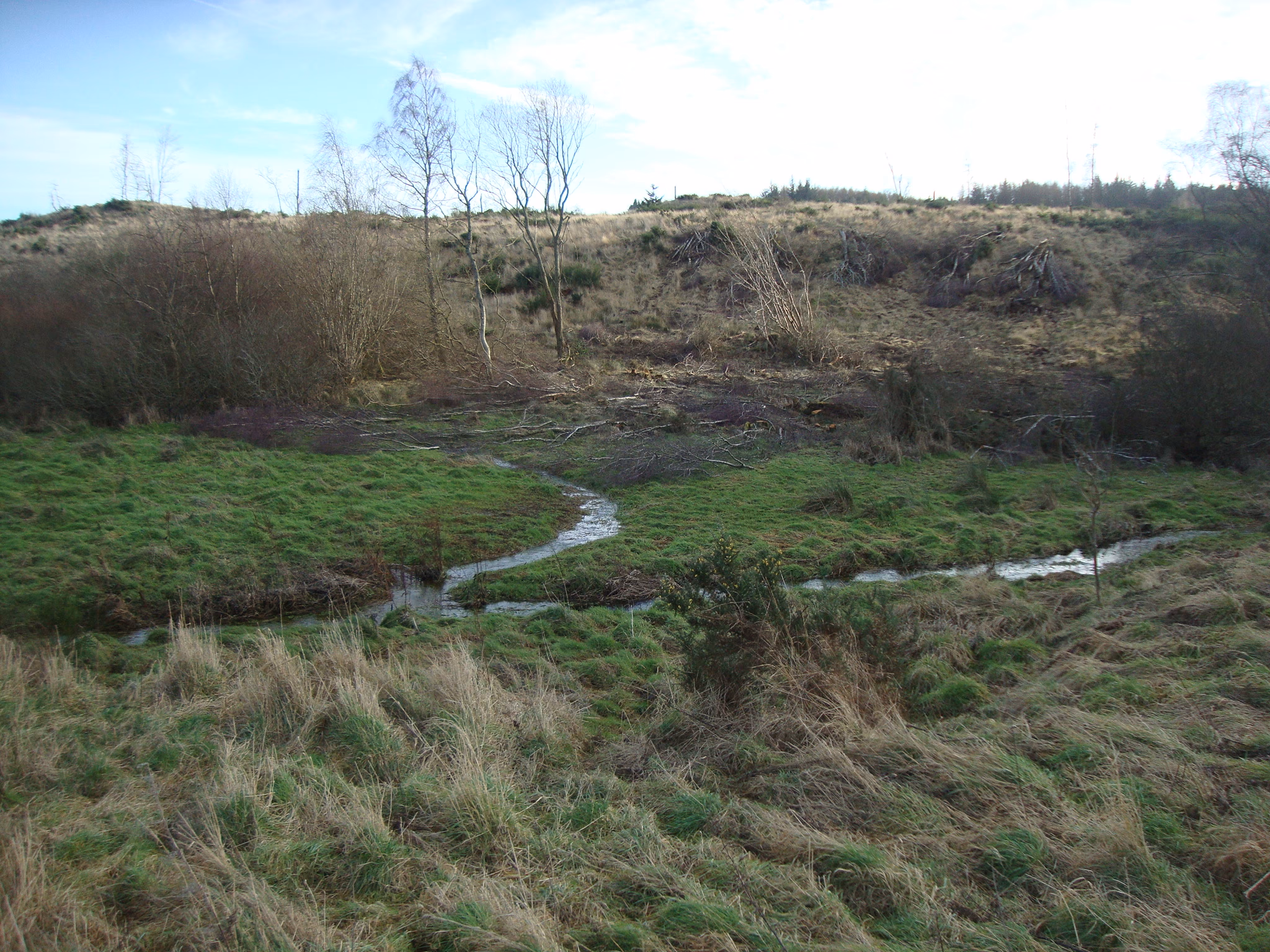 Tornagrain Mill Pond and Flood Management