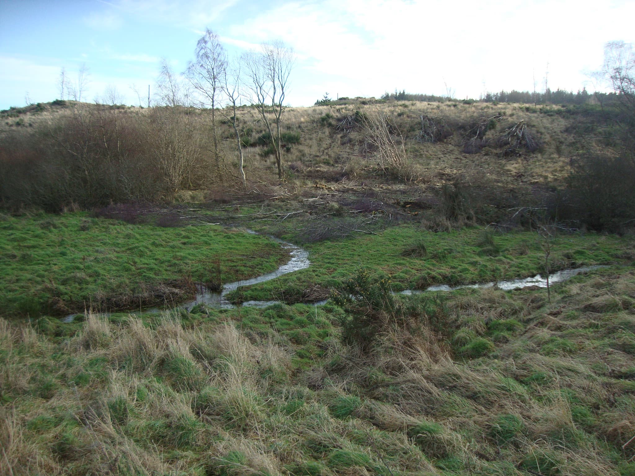 Tornagrain Mill Pond and Flood Management