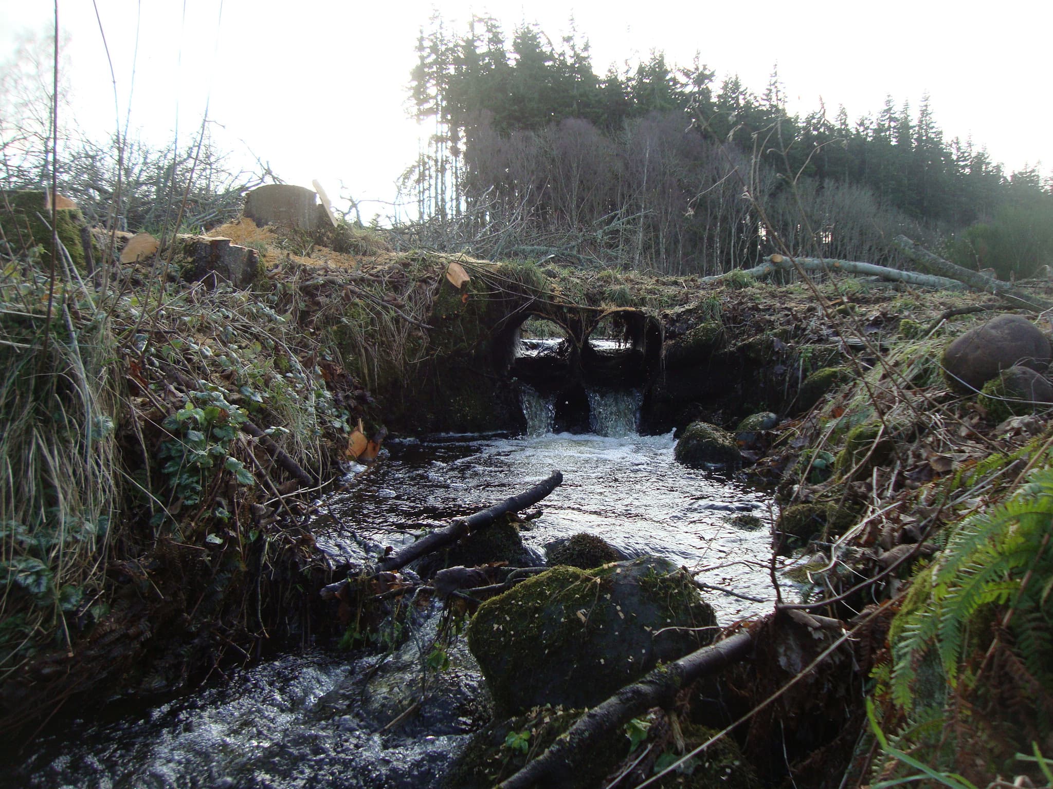Hydrological and Flooding Assessment, Tornagrain - Image 2